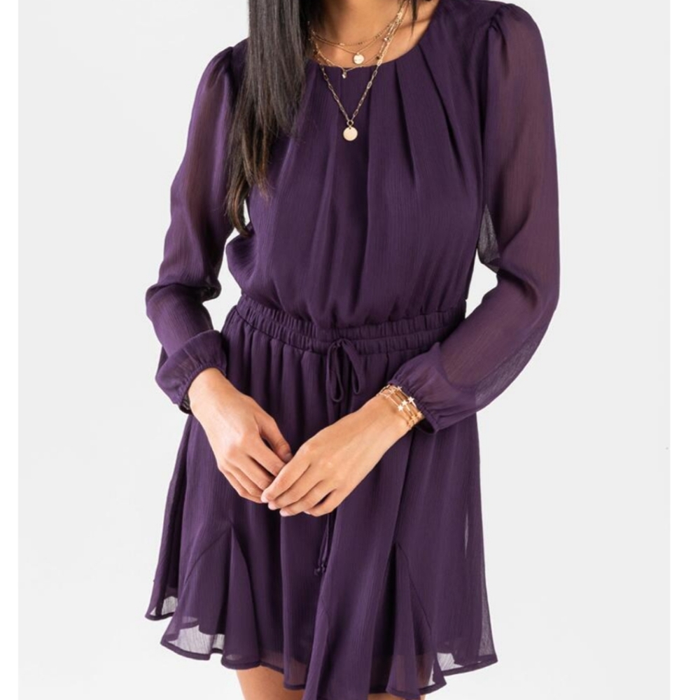 Francesca's Collections Purple 👗 Dress